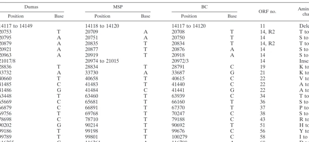 TABLE 1. Coding polymorphisms within VZV ORFs
