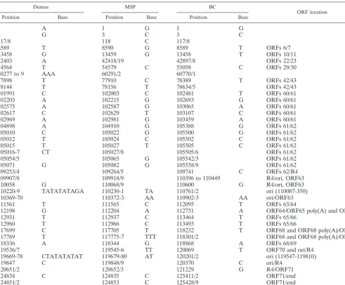 TABLE 3. VZV reiterations R1 through R5