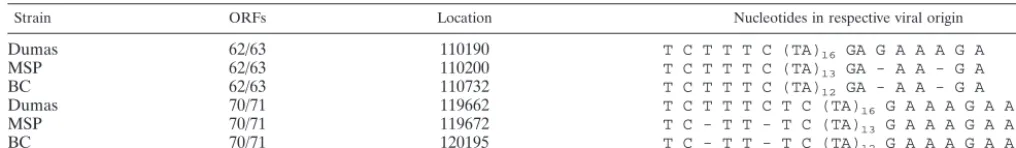 TABLE 4. VZV strain DNA replication origin polymorphismsa