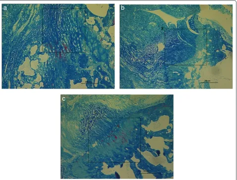 Fig. 4 Comparison of photomicrographs.(original magnification, 10×) of scar at 4 weeks shows a disorganized scar for the non-immobilized control and a more organized scar for the a Non-immobilized saline control