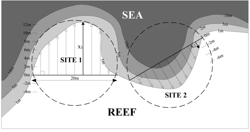 Figure 4.2. Measurement of maximum seaward projection at convex (Site 1) and concave (Site 2) 
