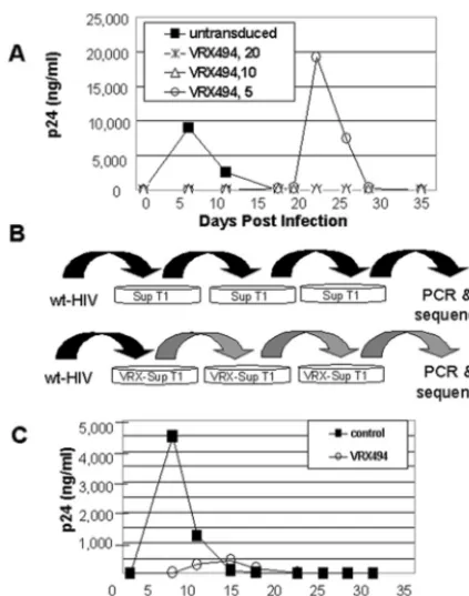 TABLE 1. Deletions at the antisense target region