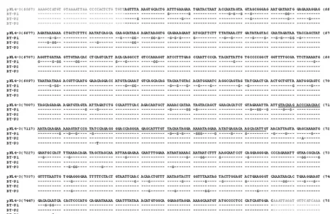 FIG. 4. Sequence of the antisense target region of three clones with a high mutation rate