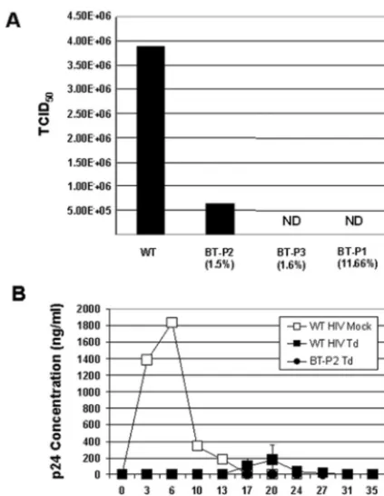 FIG. 5. Replicative ability of selected mutants. (A) Virus variantsselected for by antisense pressure are not ﬁt