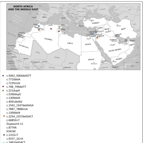 Fig. 2 Map of the MENA region with the different BRCA mutations identified