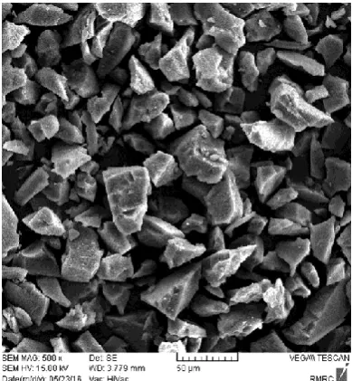 Figure 4. SEM imaging for the B-MIPs. 