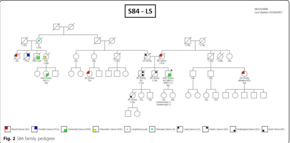 Fig. 2 S84 family pedigree