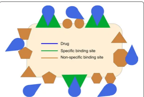 Fig. 8 Specific versus non-specific binding. Specific binding involves the (strong) binding of the drug (blue) to the target its intended to bind to (green)