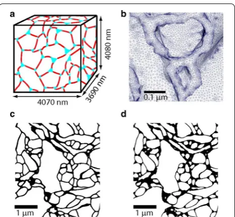 Fig. 12 Model systems and microscopic structure of the brain extracellular space as formulated in [38]