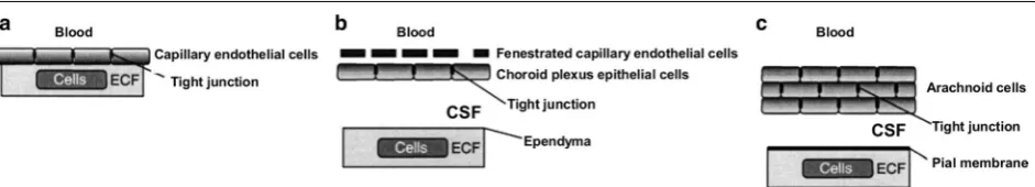 Fig. 3 Barriers of the brain. a The BBB. The BBB separates the blood from the brain tissue, including the brain ECF and the cells