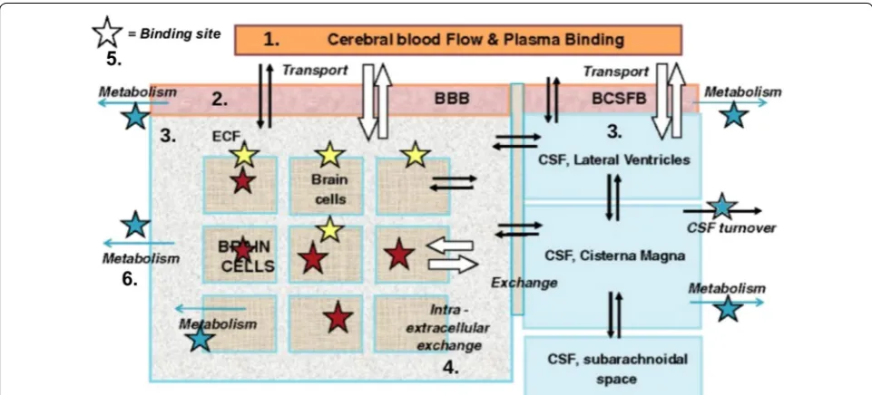 Fig. 5 Schematic presentation of the major compartments of the mammalian brain and routes for drug exchange [45]