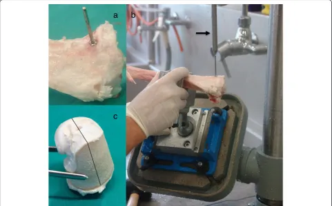 Figure 4 Harvesting method. To provide a standardized evaluation process and locate the area of interest, an appropriate harvesting methodwas designed: Using a custom-made screw the original direction of the needle could be established (a)