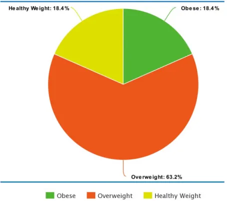 Figure 1.  This figure shows self-reported classification of weight percentages 