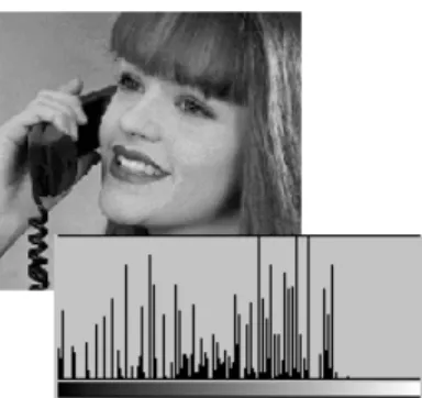 Figure 15. A dark original image. Notice how shadow detail goes to black areas. Histogram data is justified to the left.
