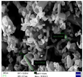 Figure 1.  SEM photograph of nanoparticles  