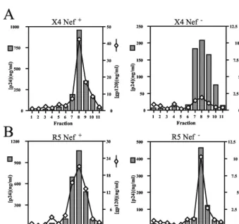 FIG. 3. Nef is required for optimal infectivity of X4-tropic virionsreleased from HIV-1-infected primary T lymphocytes