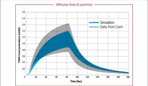 Fig. 5 Range in TMA concentration versus time curves for experimental data compared with diffusion-only with perivascular exchange simulations