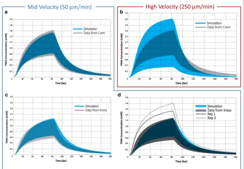 Fig. 6 Range in TMA concentration curves for experimental data compared with diffusion and convection simulations with perivascular exchange