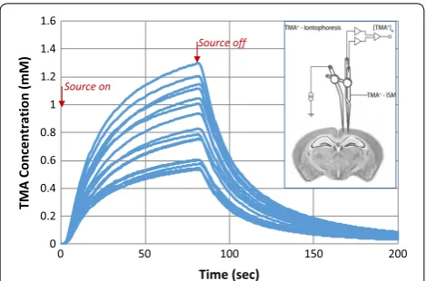 Fig. 2 TMA concentration curves for each replicate of young adult mice from Kress [tortuosity, and uptake using RTI equations from Nicholson [replicates demonstrate experimental variability, where range is 88% and the standard deviation in 25], generated f