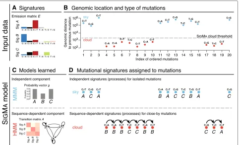 Fig. 1 Overview of the Srepresented over six mutation types) and (cloud mutation segments.(bottom) an extension of a hidden Markov model (HMM) capturing sequential dependencies between close-by cloud mutations; all modelparameters are learned from the inpu
