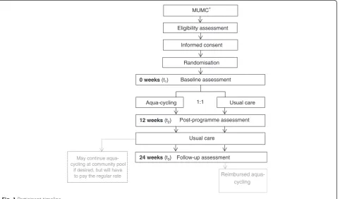 Fig. 1 Participant timeline