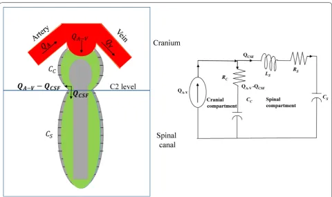 Fig. 1 Cranio‑spinal model and its electrical analogous circuit. The cranio‑spinal model is divided into two compartments, cranium and spinal cranium and spinal canal are denoted by denoted by canal
