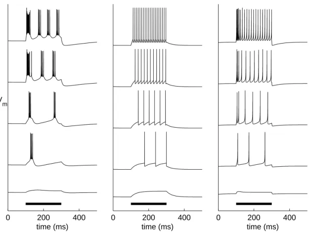 Figure 3.2: Illustration of single-neuron dynamics according to extended HH-model (left), LIF model (middle), and Izhikevich model (right)