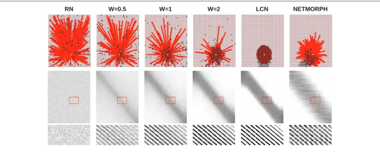 Figure 1 | upper: examples of the connectivity patterns. White: target cell, red: cells having output to the target cell, black: cells receiving input from the target  cell; Middle: Connectivity matrix