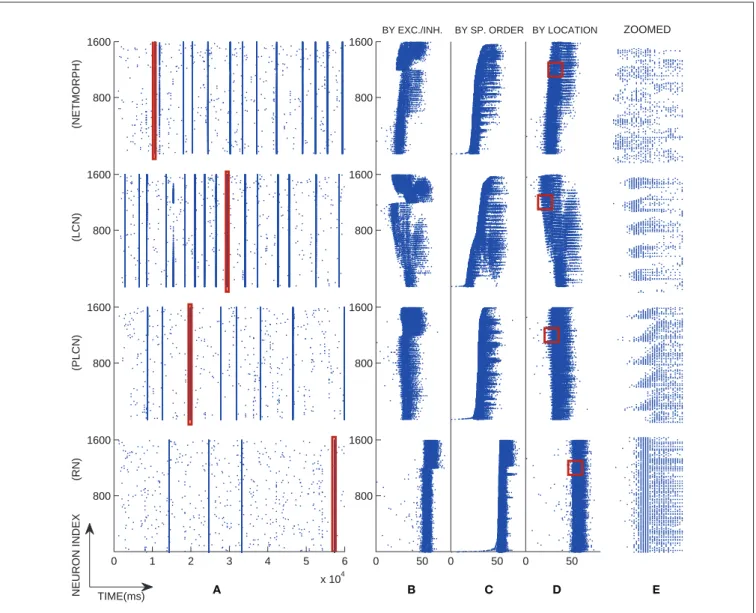 Figure 2 | An example of population spike trains of four different networks  with a selected burst magnified