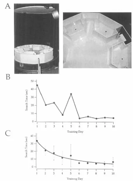 Figure 1. The water maze apparatus and training profiles. A. photograph of the water maze showing the maze, the fiber optic illuminators and reflecting diffusor