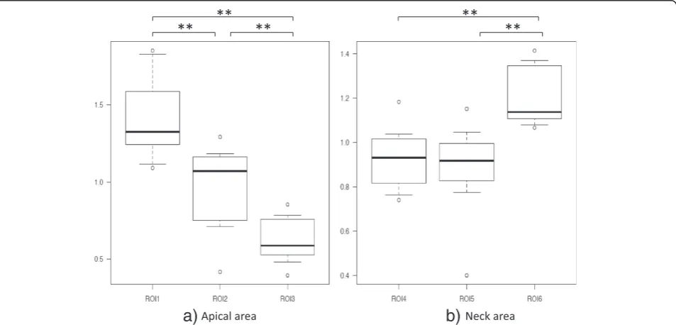 Fig. 3 Bone volume/total volume (BV/TV) in the proximal head and neck.*ROI 2 and ROI 3, and was significantly higher in ROI 2 than in ROI 3