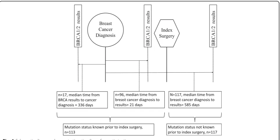 Fig. 1 Schematic diagram demonstrating timeline of genetic testing
