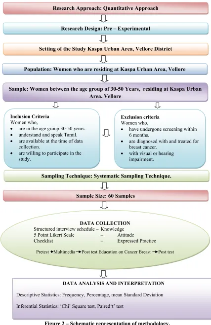 Figure 2 – Schematic representation of methodology.�