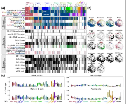 Fig. 6 Characterization of lymphoma pattern types (PATs). a For each lymphoma patient, the PAT, clinical characteristics, previous molecularclassifications, genomic characteristics and immunohistochemical (IHC) phenotypes are indicated in the barplots