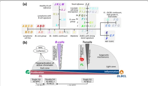 Fig. 9 The lymphoma phenotype similarity tree. a The PAT-level tree visualizes the similarity relations between the core regions of the subtypes,the mutual transition ranges and their relation to the controls