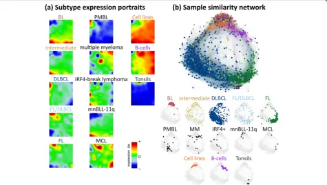 Fig. 1 Expression and sample landscapes of lymphoma subtypes.similarity relations between the samples as an undirected graph