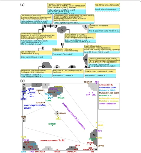 Fig. 3 Functional analysis of the expression modules. a Enriched gene sets from GO, KEGG and Reactome databases (yellow background; p < 0.05,Fisher’s exact test) and of B cell-related signatures taken from [47–49] and from a separate analysis of our B cell