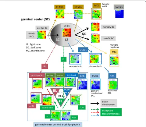 Fig. 4 Expression portraits of B cells and lymphomas, and their relation with respect to the GC biology