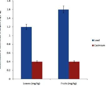 Table 2. Nutritional value of the leaves and fruits of S. macrocarpon. 