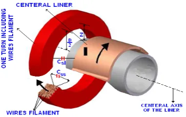 Fig. 11 Lump capacitors of one turn include single-layer k-CWFs of the MCG coil in non-real scale