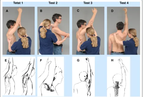 Figure 1 Test 1–4. A-D Normal performance of the mobility tests of the shoulder. E-H Normal and abnormal performance E Position of themost lateral scapular point at the end of flexion (left: normal, right: slightly restricted shoulder)