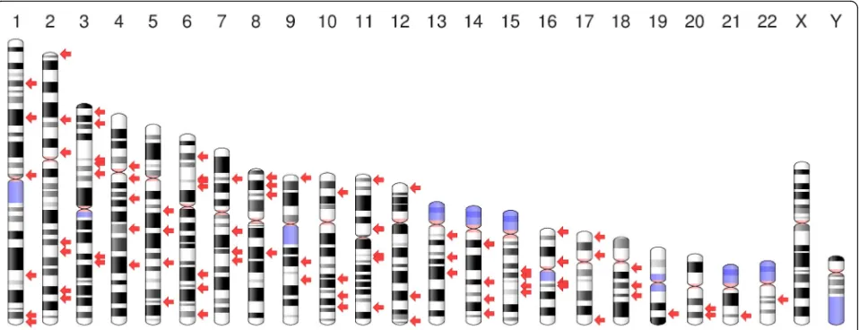 Fig. 1 Chromosomal ideogram of human obesity susceptibility genes. The chromosomal loci for 127 obesity susceptibility genes are providedusing a chromosomal ideogram and denoted by red arrows