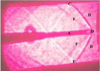 Figure 2. A typical Schlieren image taken in the Wind-Tunnel 