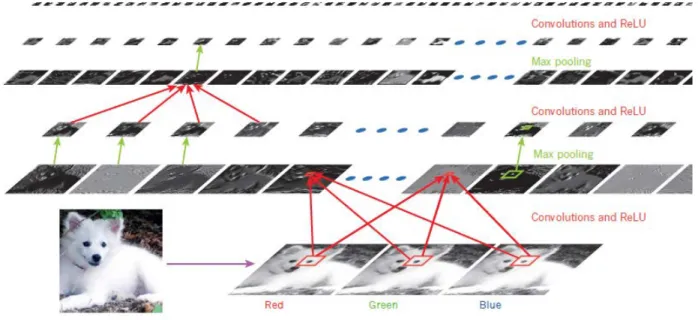 Figure 6. ConvNet (LeCun, Bengio &amp; Hinton, 2015) 