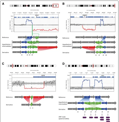 Fig. 1 Four complex structural variants identified by genome sequencing. Plots show changes in coverage of short-read WGS (normalised deptht score using CNView, n = 250) [48]