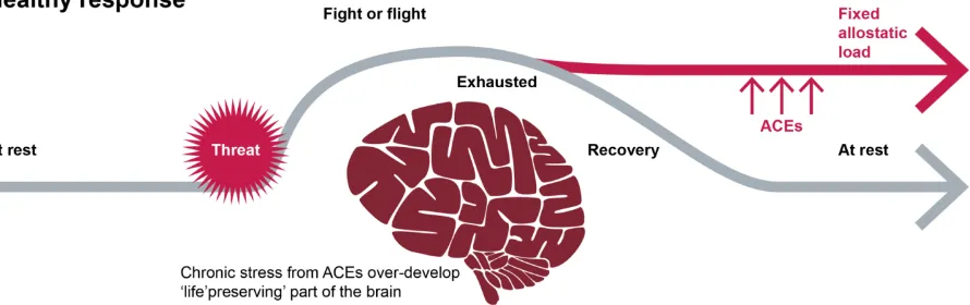 Figure 9: Biological impact of ACE-related stressors and trauma related response  