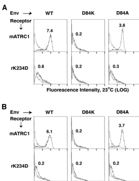 TABLE 1. Virus binding assay resultsa