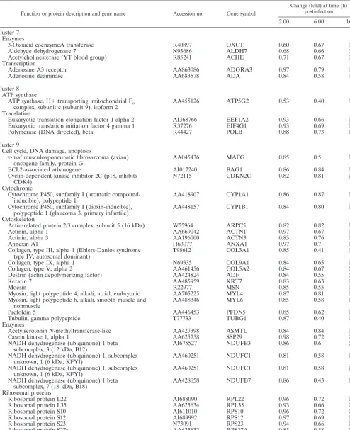 TABLE 2. Representative human genes in clusters 7 to 11 (downregulated by MVA)a