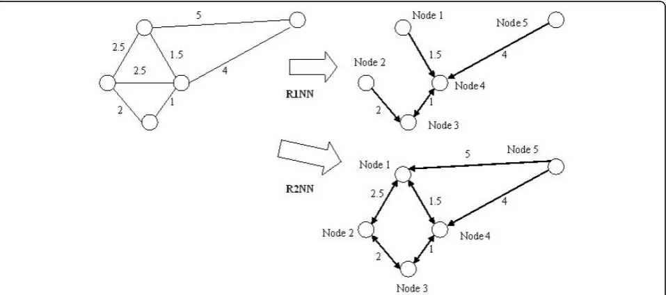 Figure 1 An example of R1NN and R2NN topology generated from a toy weighted PPI network