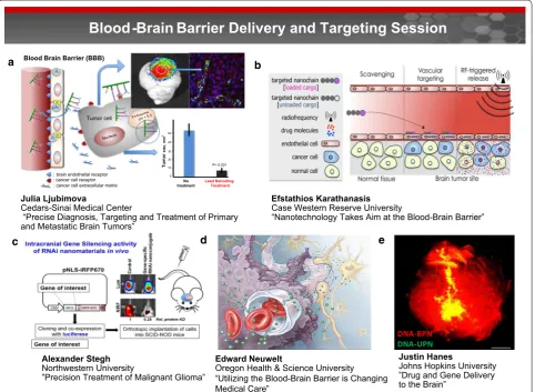 Fig. 5 Blood brain barrier delivery and targeting session. Drug delivery through the BBB to the brain can be enhanced utilizing nanoparticles that vasculature